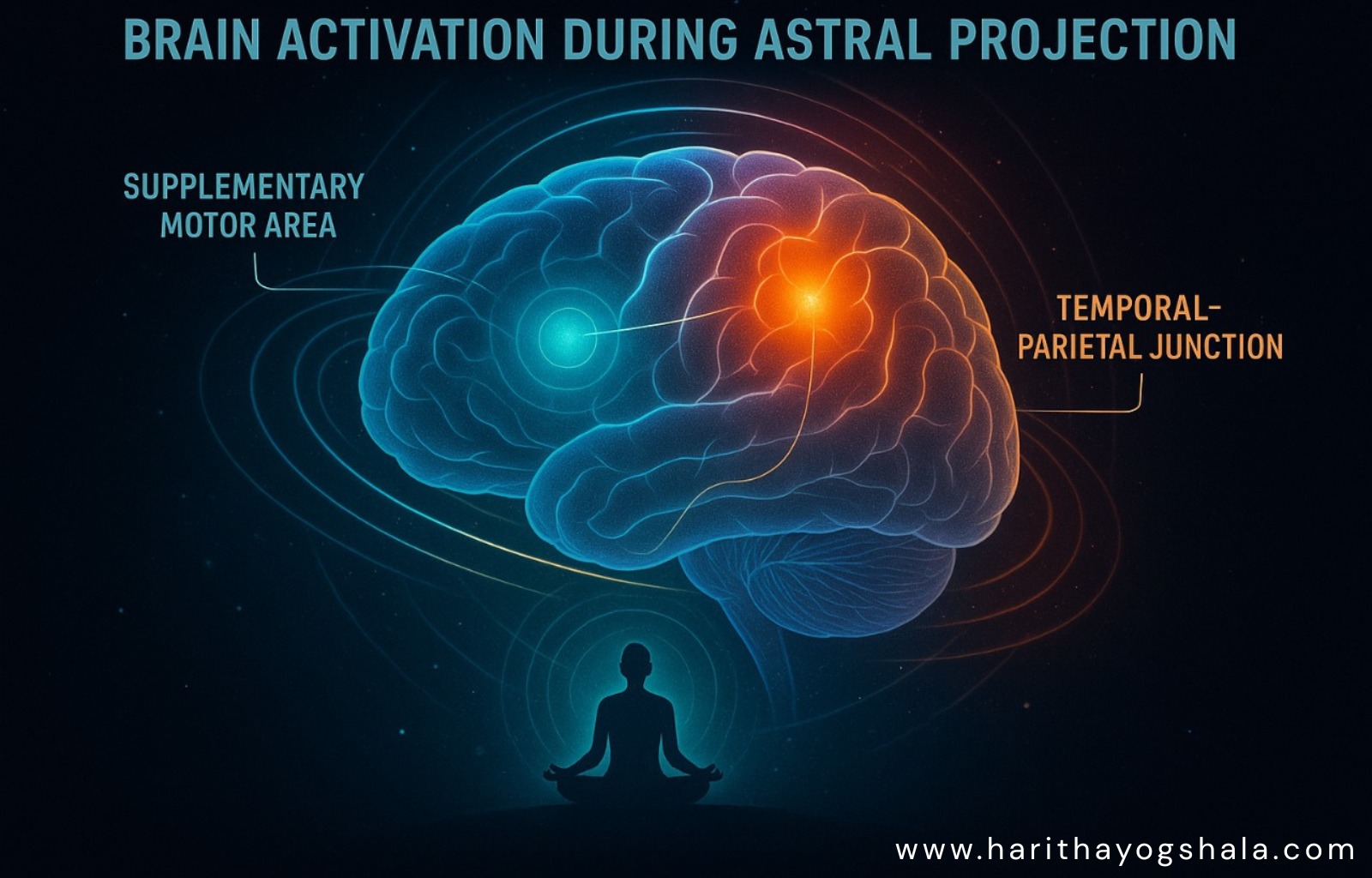 Brain regions activated during astral projection showing supplementary motor area and temporal-parietal junction.