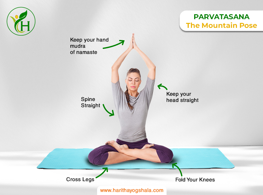 Woman Yoga Mountain Pose Tadasana Vector Stock Vector (Royalty Free)  538918696 | Shutterstock