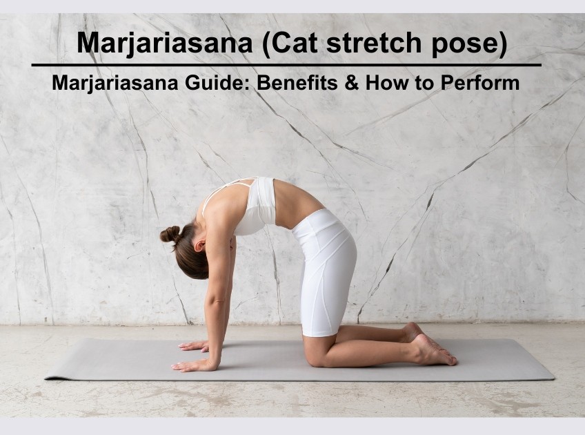 Stock vektor „Yoga Pose Marjariasana That Known Cat“ (bez autorských  poplatků) 1858284391 | Shutterstock