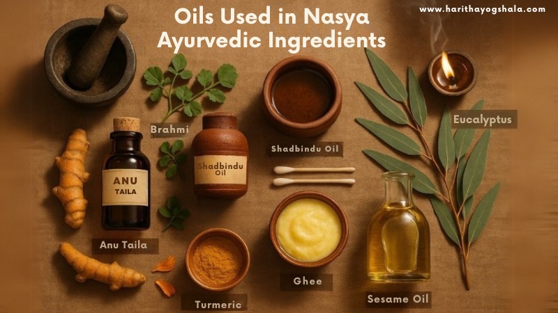Photo of Ayurvedic ingredients used in Nasya therapy, including: Anu Tailam, Brahmi, Shadbindu Oil, Ghee, Sesame Oil, Turmeric, Eucalyptus leaves, and cotton swabs on a natural backdrop.