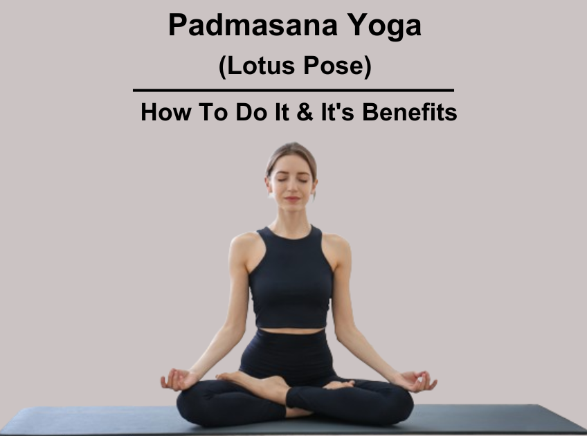 Padmasana or Lotus Pose. Yoga Practice. Vector Stock Vector - Illustration  of hinduism, legged: 193233366