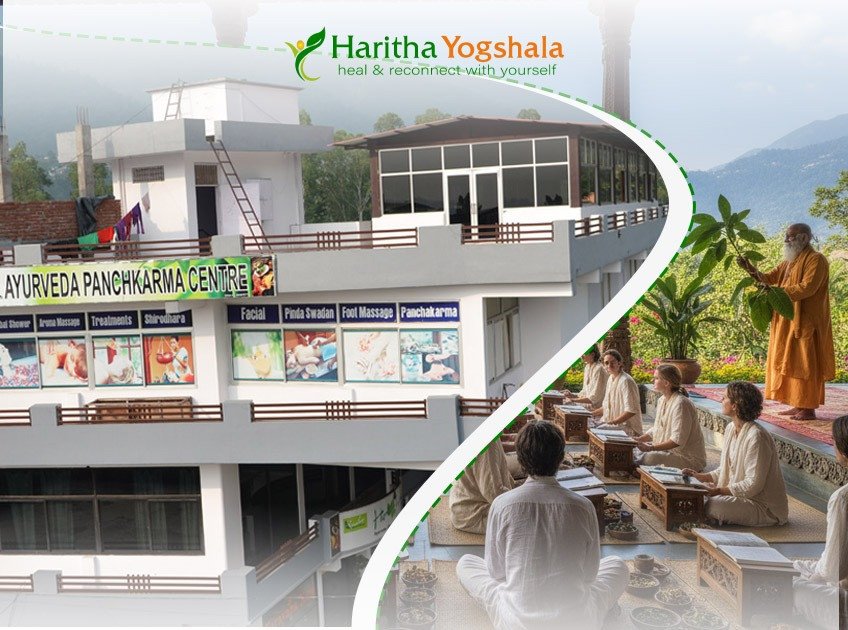 Why an Ayurveda Diploma Course in 2025 Is a Smart Choice for Wellness Careers