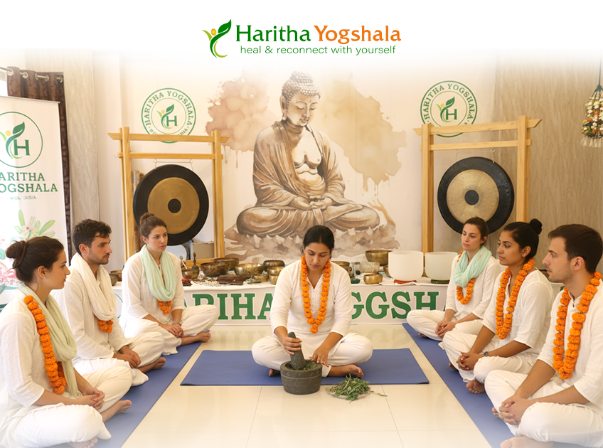 Your Guide to the Best Ayurveda Courses